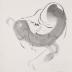 Thumbnail: Peking Brush Drawing, image 1