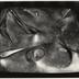 Thumbnail: This Tortured Earth, image 6