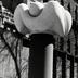 Thumbnail: Capital, image 2