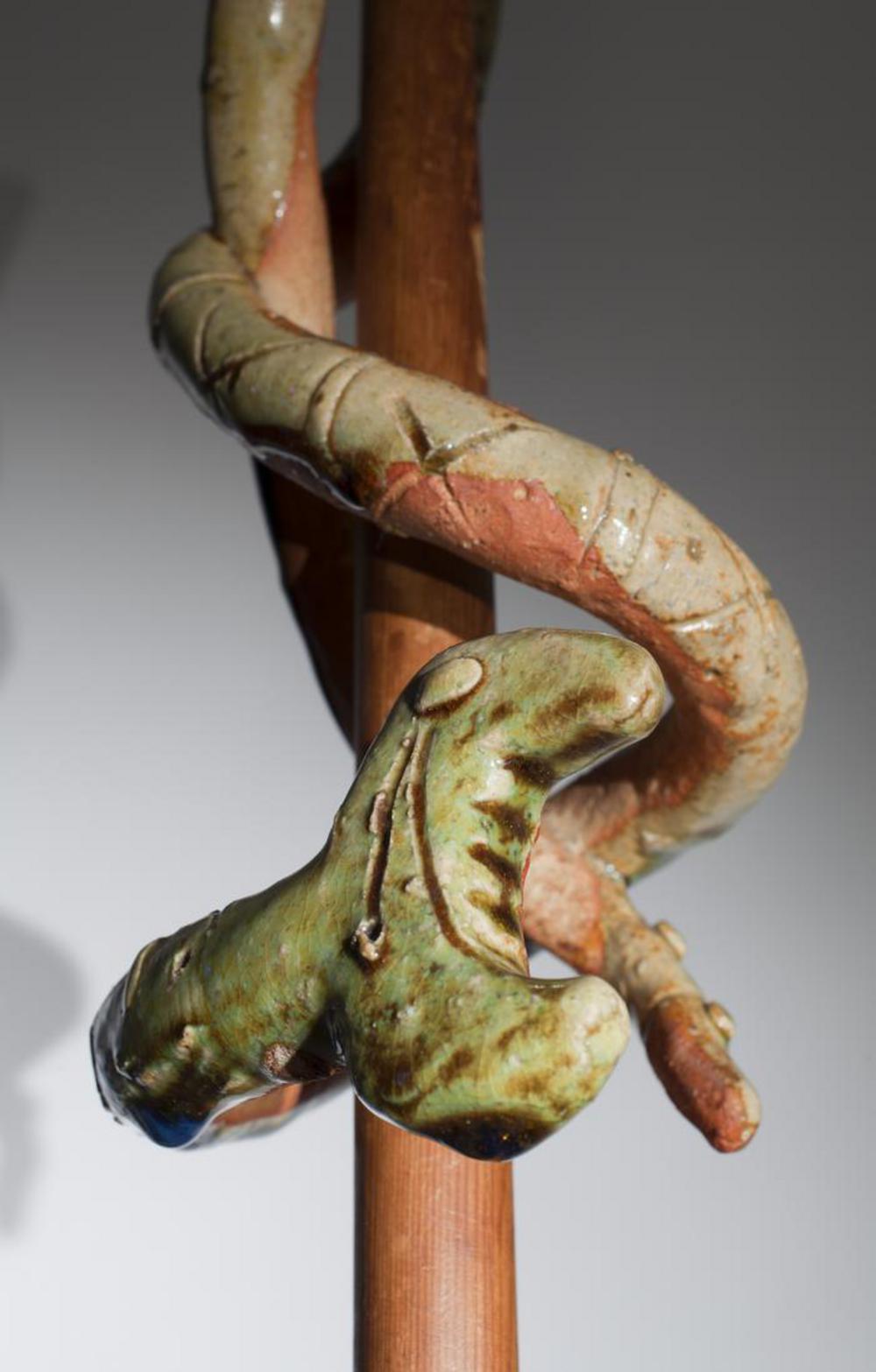 Snake, image 3