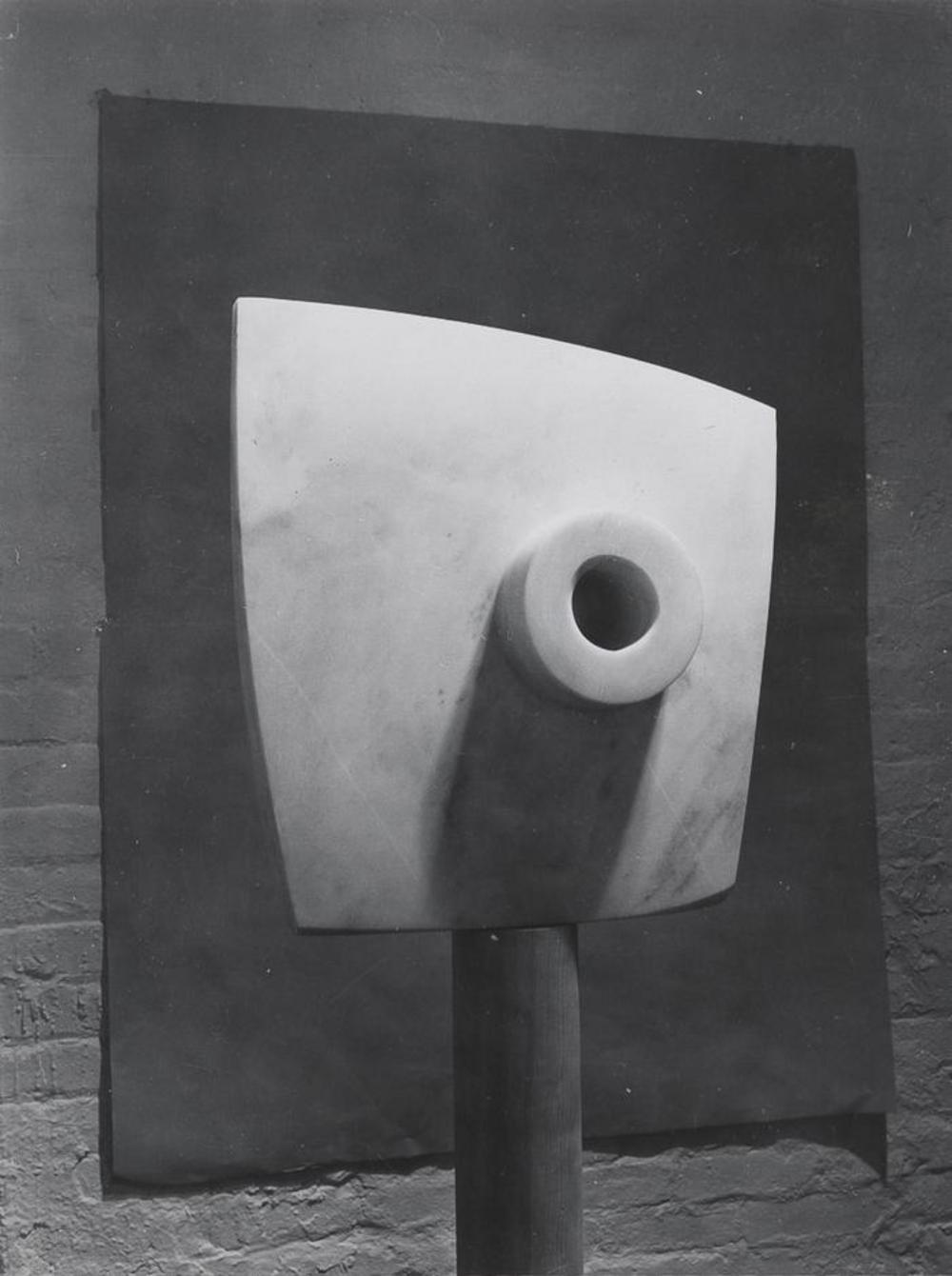 Bird D, image 5