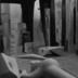 Thumbnail: Bird D, image 3