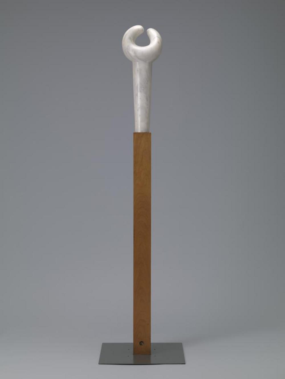 Bird C, image 2