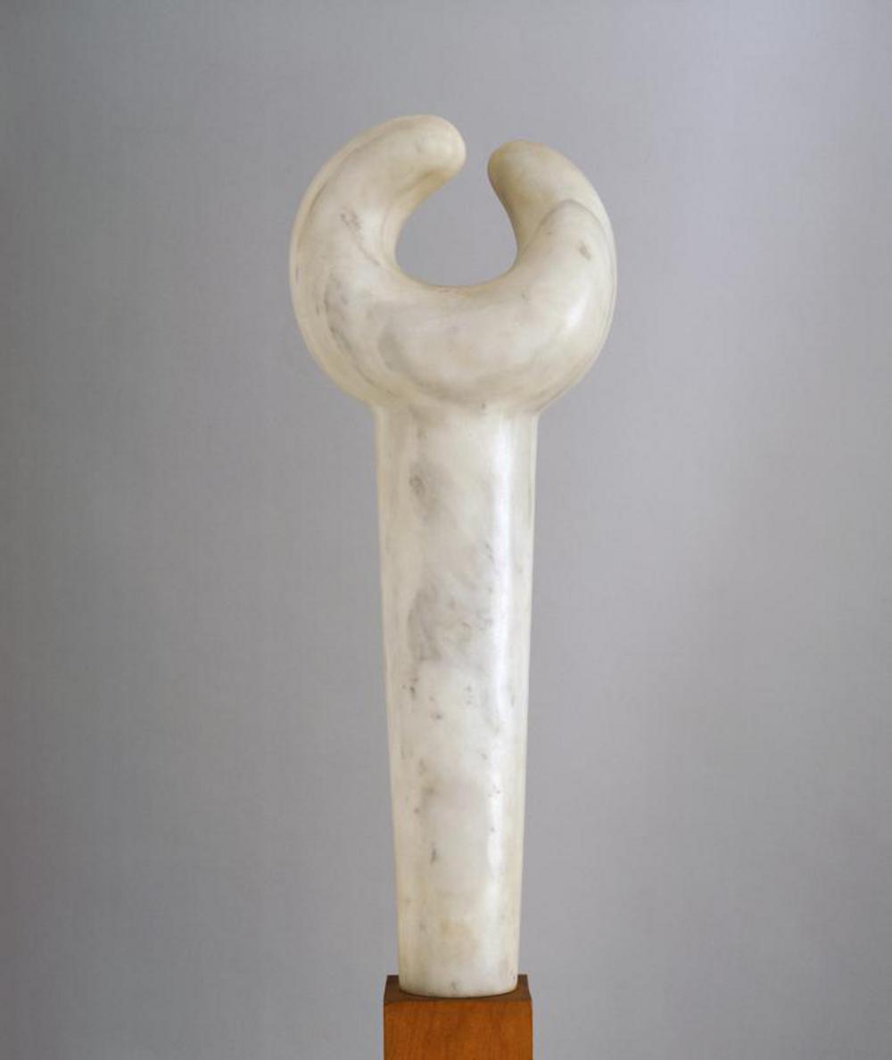 Bird C, image 1
