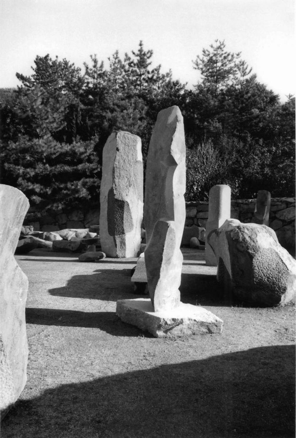 Shiva Pentagonal, image 6