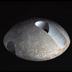Thumbnail: Worm Stone, image 1