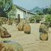 Thumbnail: Untitled, image 3