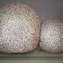 Thumbnail: Two Dependent Pieces, image 5