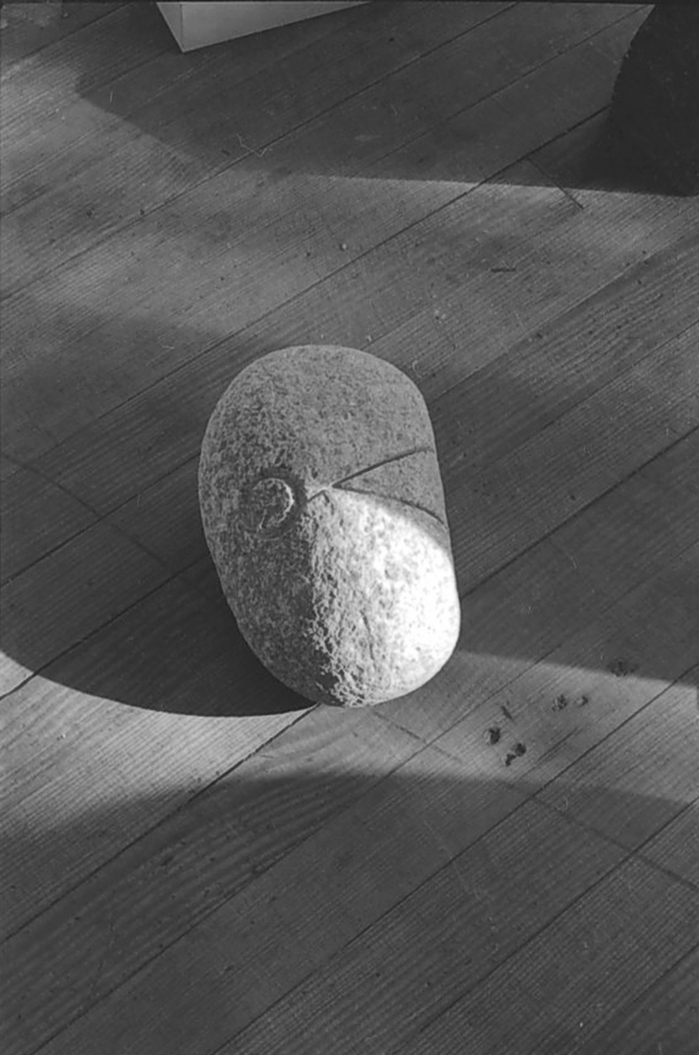Untitled, image 7