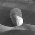 Thumbnail: Untitled, image 7