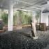 Installation view of Sculpture and Nature, The Noguchi Museum, June 29, 2002 - January 13, 2003.