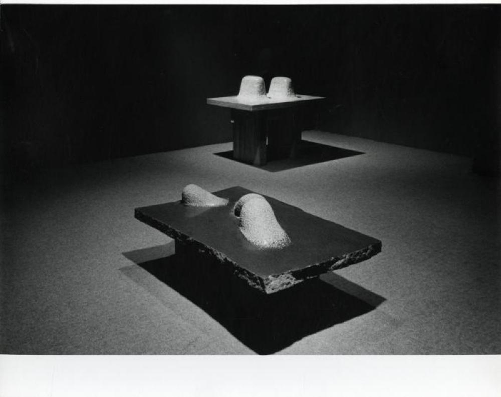 Installation view of "75th Birthday Exhibition, Landscape Tables, 1968 - 79," Andre Emmerich Gallery, February 16, 1980 - March 15, 1980.