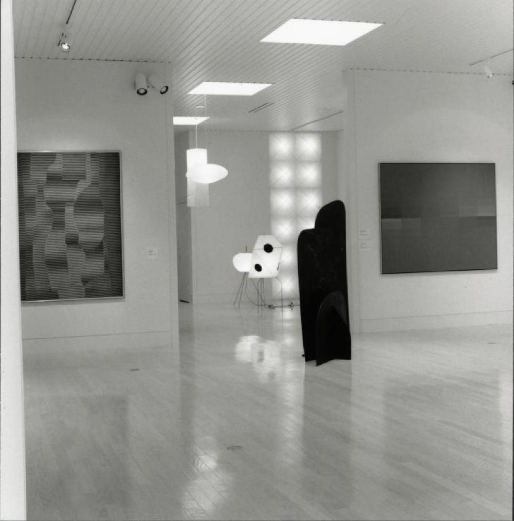 Installation view of "9 Gemini Bronzes," Butler Institute of American Art, June 14, 1996 - August 25, 1996.