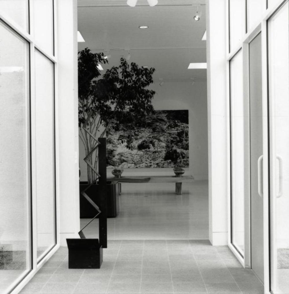 Installation view of "9 Gemini Bronzes," Butler Institute of American Art, June 14, 1996 - August 25, 1996.