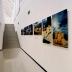 Installation view of Isamu Noguchi: A Study in Space, Italdesign, Giugiaro Museum, May 8, 2001 - January 2002.
