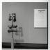 Installation view of Noguchi: Contours, Paine Webber Art Gallery, April 10, 2003 - June 20, 2003.