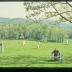 Installation view of Isamu Noguchi: Gemini G.E.L., Storm King Art Center, 1984