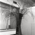 Installation view of Isamu Noguchi Exhibition, Museum of Modern Art, Kamakura 