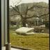 Installation view of Isamu Noguchi Retrospective 1992, National Museum of Modern Art, Kyoto (travel venue)